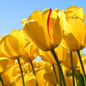 Meet your Posher, Valerie